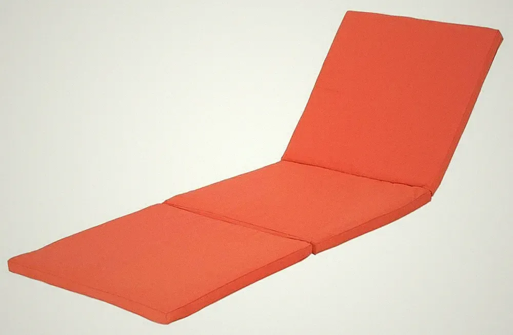 Christopher Knight Home 303847 Outdoor Chaise Lounge Cushion
